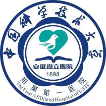 合作伙伴七